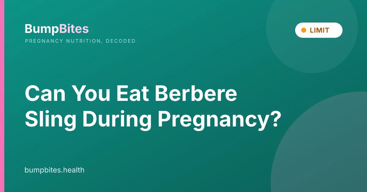 Berbere Sling during pregnancy β BumpBites food safety guide