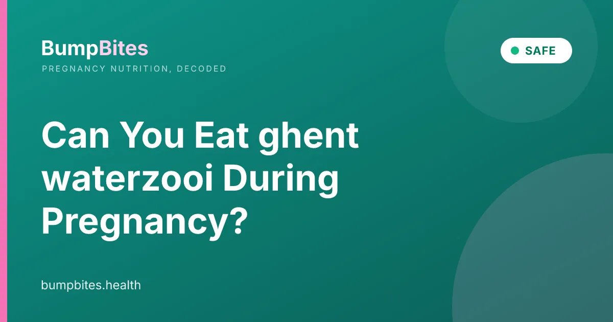 Can You Eat ghent waterzooi During Pregnancy?