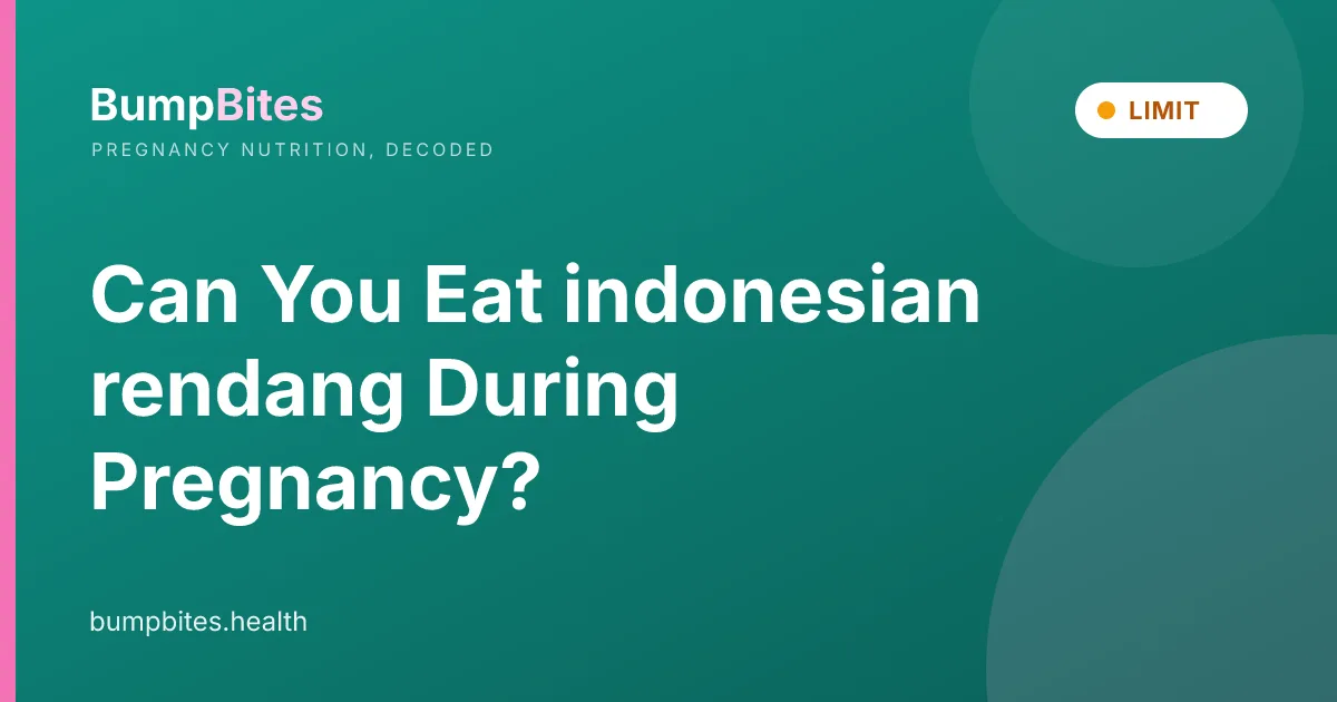 Can You Eat indonesian rendang During Pregnancy?
