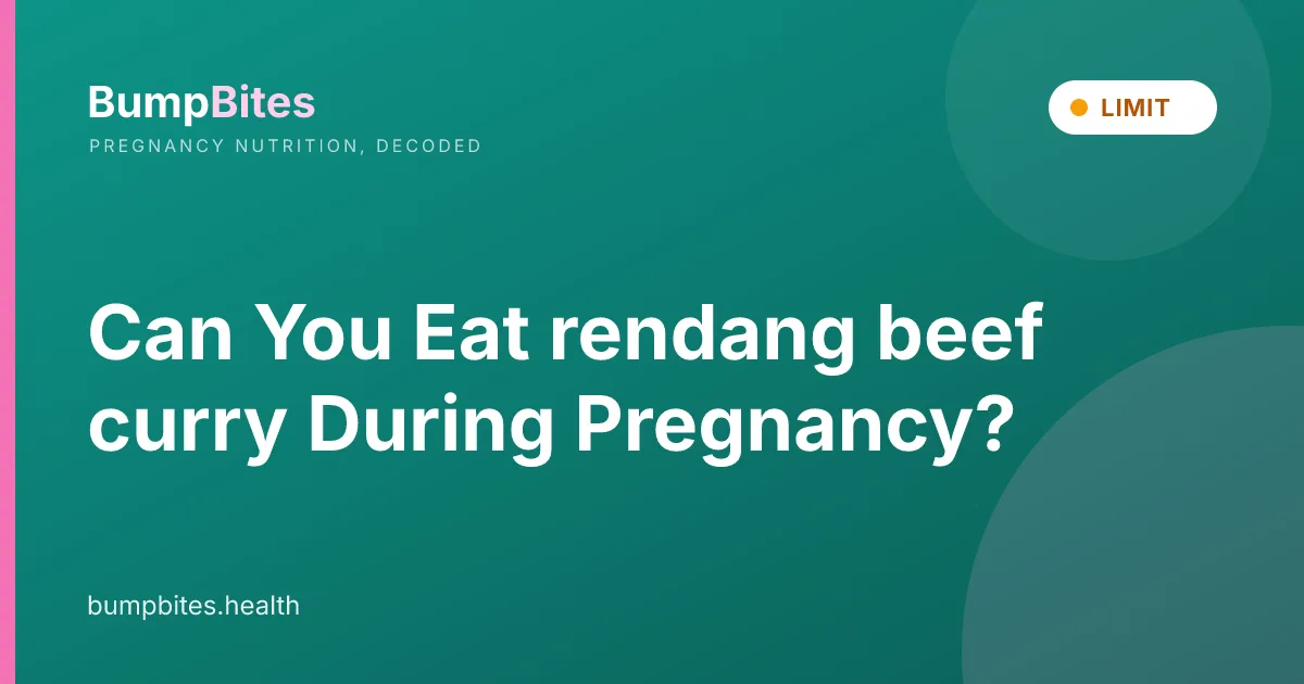 Can You Eat rendang beef curry During Pregnancy?